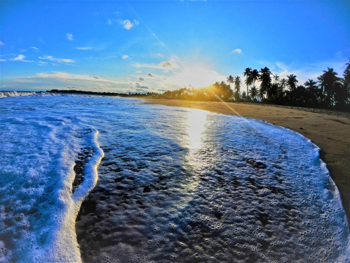 Sleeping Elephant Beach Resort Tangalle Bagian luar foto