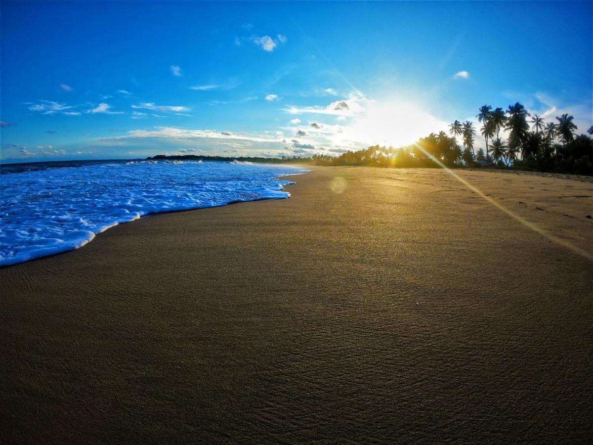 Sleeping Elephant Beach Resort Tangalle Bagian luar foto
